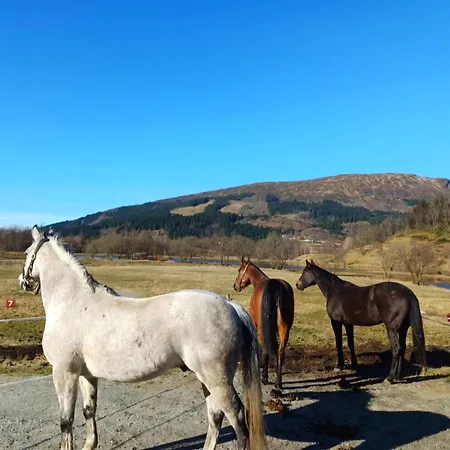 Daire Nesvika Nature Reserve Only 20 Min Away From *