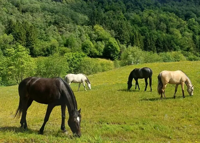 Nesvika Nature Reserve Only 20 Min Away From Apartament *