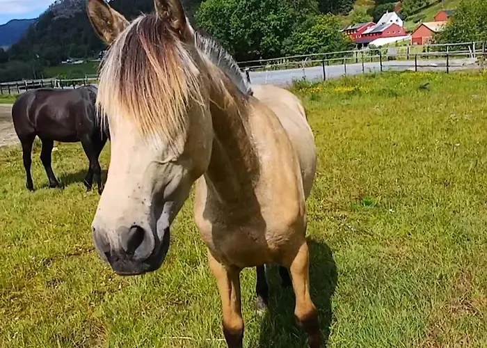 Nesvika Nature Reserve Only 20 Min Away From Apartament Bergen