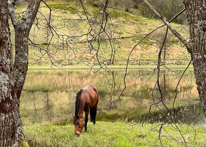 Apartament Nesvika Nature Reserve Only 20 Min Away From *