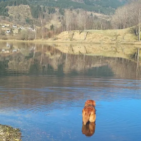 Nesvika Nature Reserve Only 20 Min Away From Apartmán