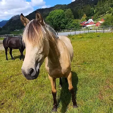 Nesvika Nature Reserve Only 20 Min Away From Apartmán Bergen