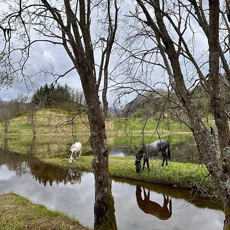 Apartmán Nesvika Nature Reserve Only 20 Min Away From