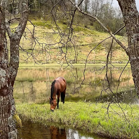Apartmán Nesvika Nature Reserve Only 20 Min Away From *