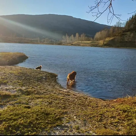 Nesvika Nature Reserve Only 20 Min Away From Apartmán *
