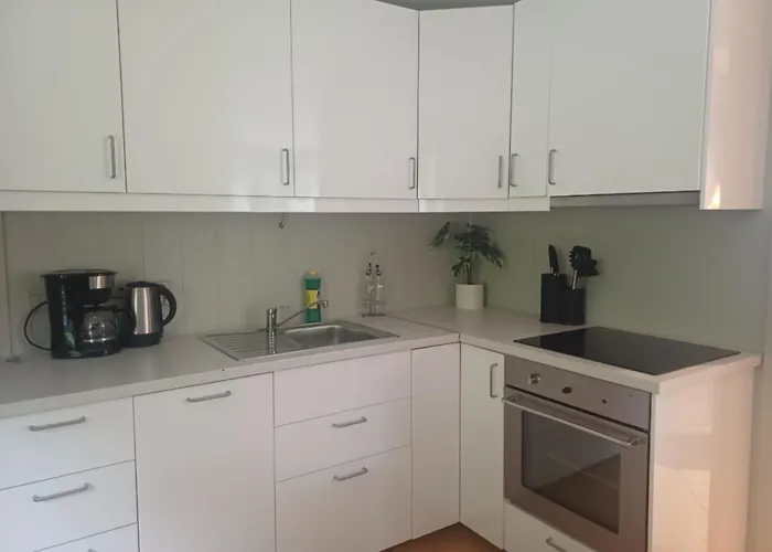 Apartment Nesvika Nature Reserve Only 20 Min Away From