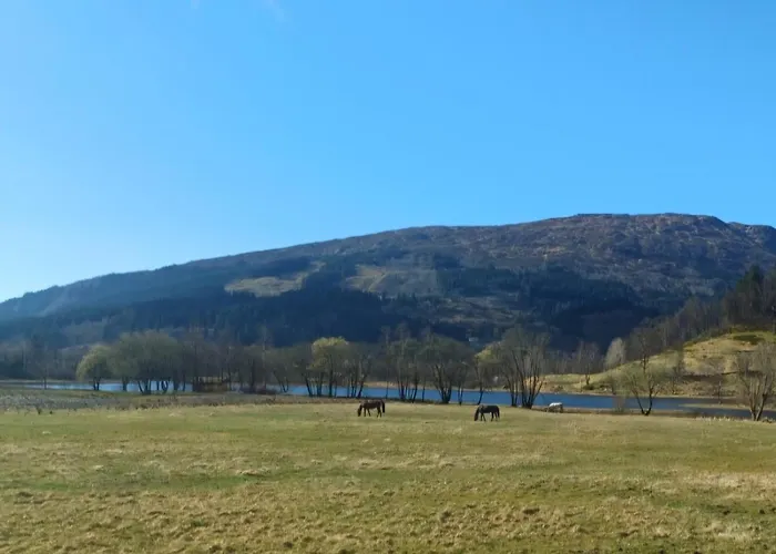 Lägenhet Nesvika Nature Reserve Only 20 Min Away From