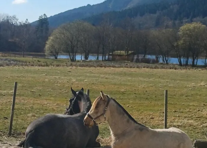 Nesvika Nature Reserve Only 20 Min Away From *