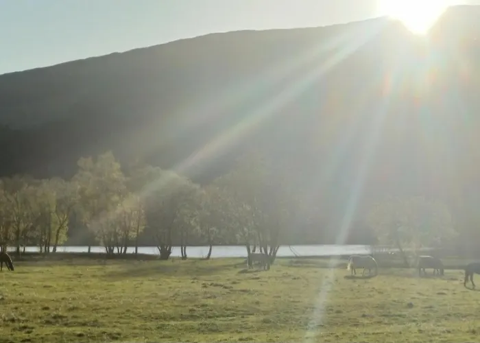 Nesvika Nature Reserve Only 20 Min Away From Apartment