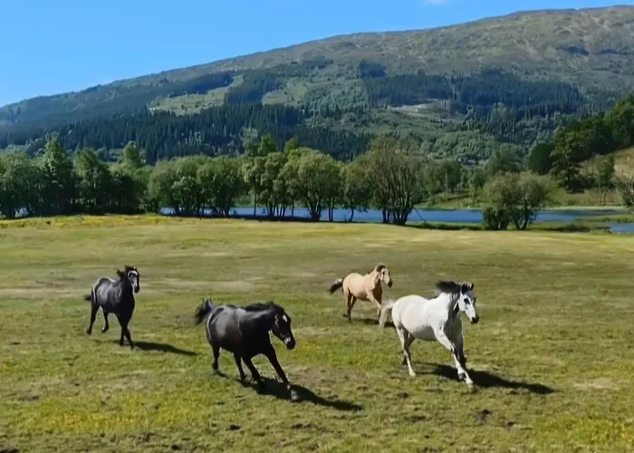 Nesvika Nature Reserve Only 20 Min Away From