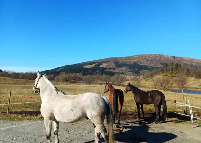 Apartment Nesvika Nature Reserve Only 20 Min Away From *