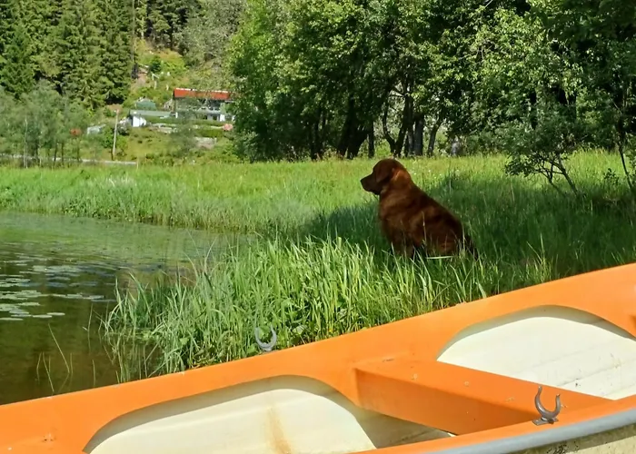 Nesvika Nature Reserve Only 20 Min Away From Apartment Bergen