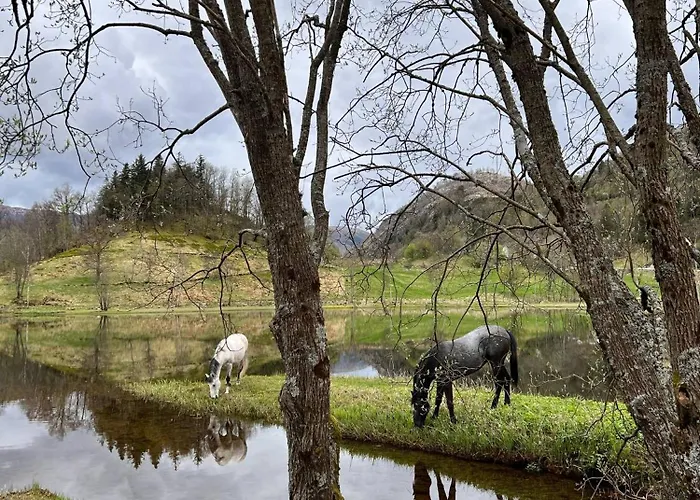 Apartment Nesvika Nature Reserve Only 20 Min Away From