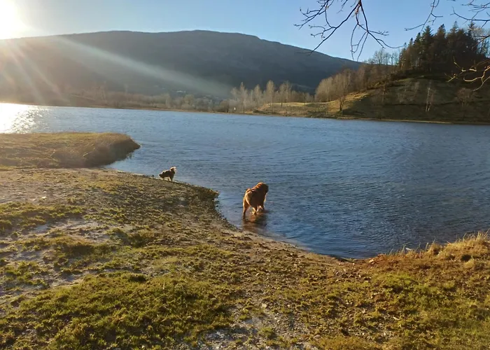 Nesvika Nature Reserve Only 20 Min Away From Apartment *