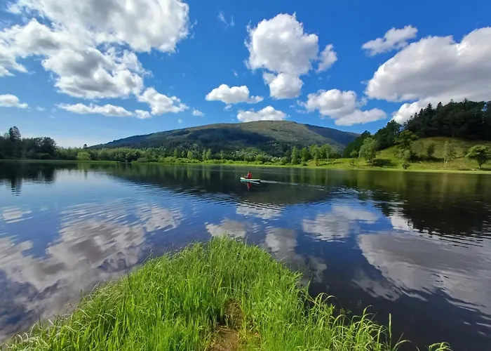 Nesvika Nature Reserve Only 20 Min Away From Apartment Bergen