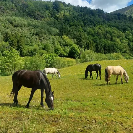 Nesvika Nature Reserve Only 20 Min Away From 公寓 *